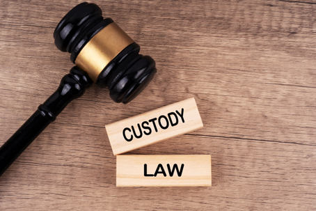 CUSTODY LAW text on wooden blocks with judge gavel.