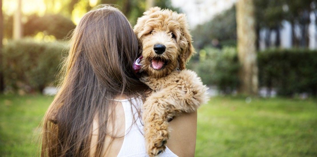 woman carrying dog